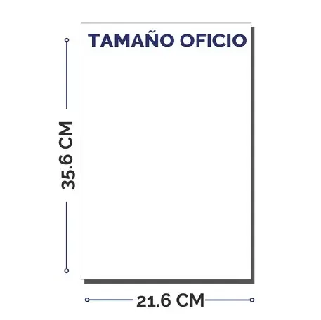 IMP. NEG OFICIO 1L