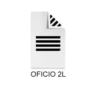 IMP. NEG OFICIO 2L