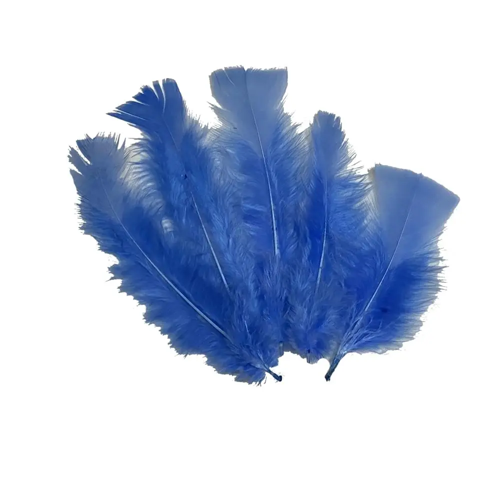 PLUMAS CELESTES KINDER