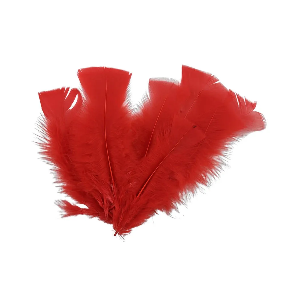 PLUMAS ROJAS KINDER MIX 