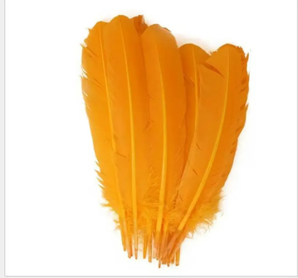 [1809856932737] PLUMAS NARANJAS KINDER MIX