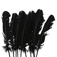 PLUMAS NEGRAS KINDER MIX 