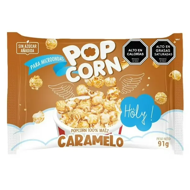 MICRO HOLY CREAM 91G 