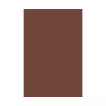 [145] CARTULINA COLOR CAFE HILADO 09 50 X 76CM