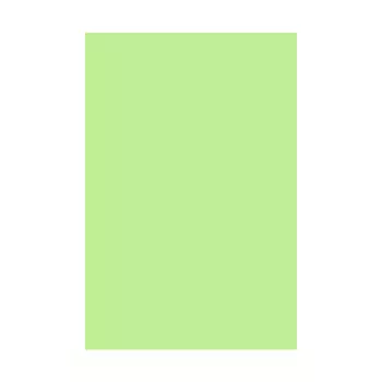 [142] CARTULINA COLOR VERDE CLARO HILADO 09 50