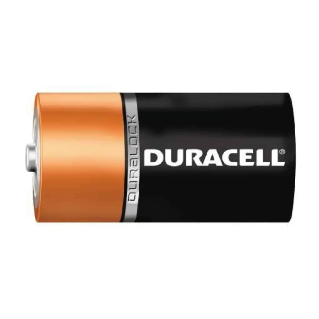 PILAS GRANDE D DURACELL DISPLAY